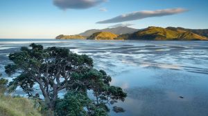 07Jun2015050629Colville Coromandel Peninsula.jpg